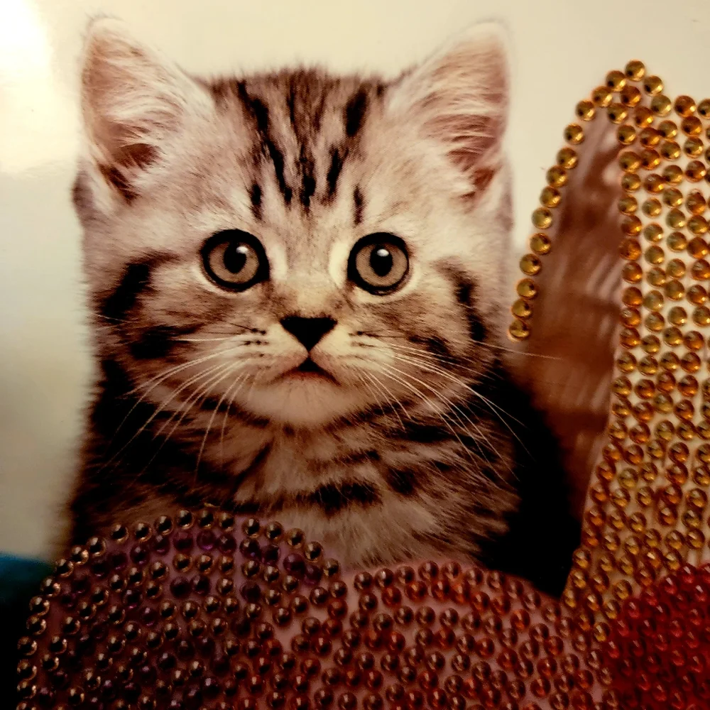 Kitty Playing in Yarn Basket Greeting Card - Picture 9 of 12